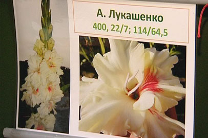 Президент Лукашенко принёс победу юннату из Приамурья - gtrkamur.ru