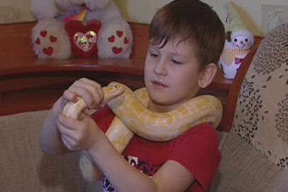 В доме у благовещенской семьи живёт символ 2013 года - gtrkamur.ru