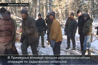 Газовый завод, облава на «чёрных» лесорубов, 150 тысяч усыновителям - gtrkamur.ru