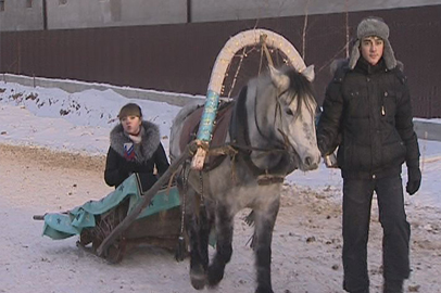 В конноспортивном клубе «Аллюр» предскажут будущее - gtrkamur.ru