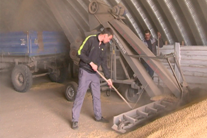 Рабочие кадры для семенного завода готовит филиал Амурского аграрного колледжа - gtrkamur.ru