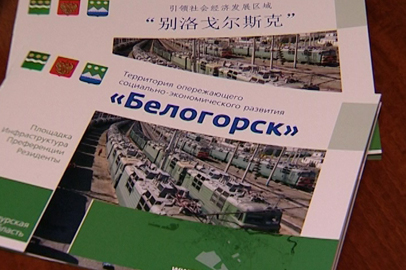 Амурский губернатор предложил дифференцировать налоговые льготы в ТОР - gtrkamur.ru