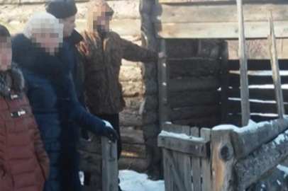 Банду похитителей КРС в Приамурье вычислили по отпечаткам автомобильных шин - gtrkamur.ru