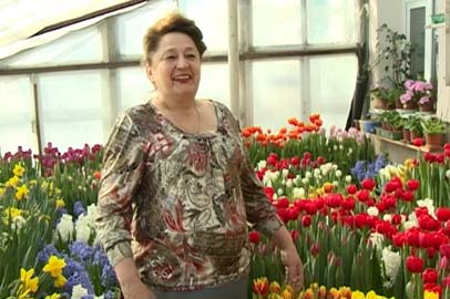 Жительница Белогорья больше 20 лет увлекается выращиванием тюльпанов - gtrkamur.ru