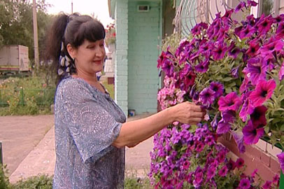 Жители благовещенской пятиэтажки превратили двор в оранжерею - gtrkamur.ru