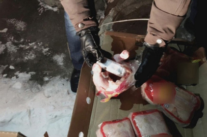 Полицейские поймали благовещенца с партией наркотиков в куриных тушках - gtrkamur.ru