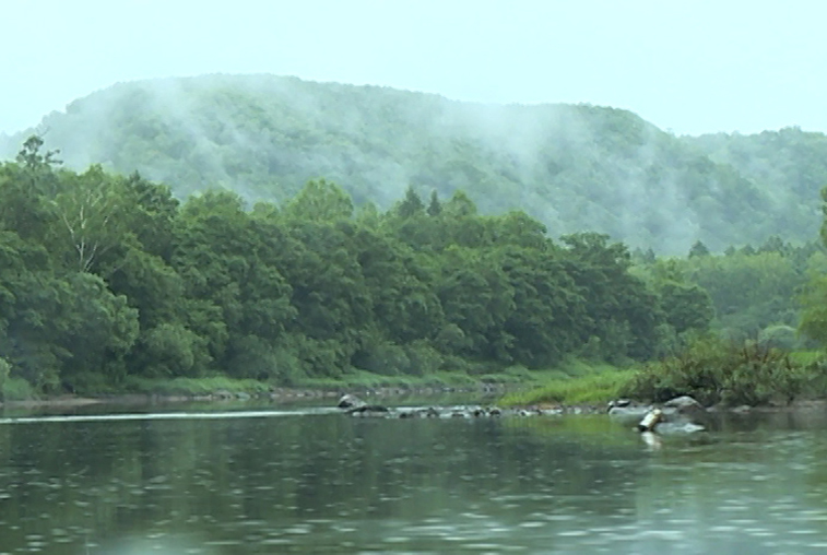 Что заставляет людей жить в глухой тайге, вдали от благ цивилизации? - gtrkamur.ru