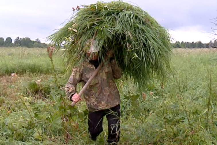 В Зейском районе в безвозмездное пользование выделено порядка 120 гектаров - gtrkamur.ru