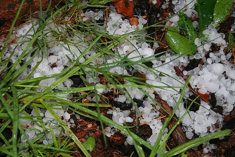 Сильный град побил урожай в Зельвино - gtrkamur.ru