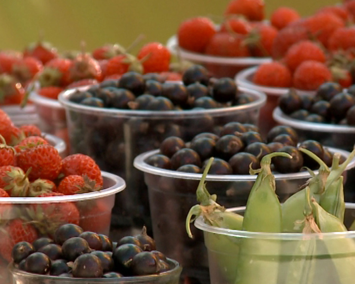 Областные власти выделят гранты для развития ягодного хозяйства - gtrkamur.ru