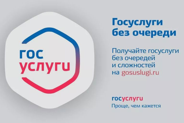 Почти 300 тысяч амурчан пользуются порталом госуслуг - gtrkamur.ru