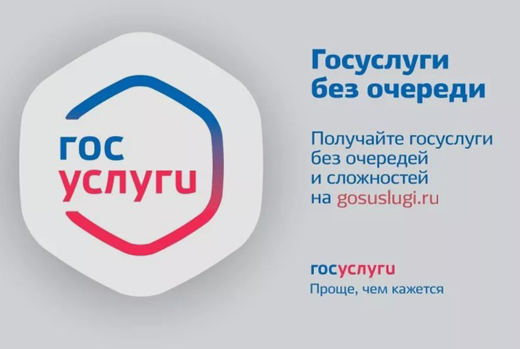 На Едином портале госуслуг можно выбрать удобный для голосования избирательный участок - gtrkamur.ru