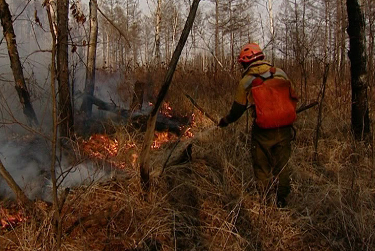 Пожароопасная обстановка в трёх районах Приамурья остаётся сложной - gtrkamur.ru