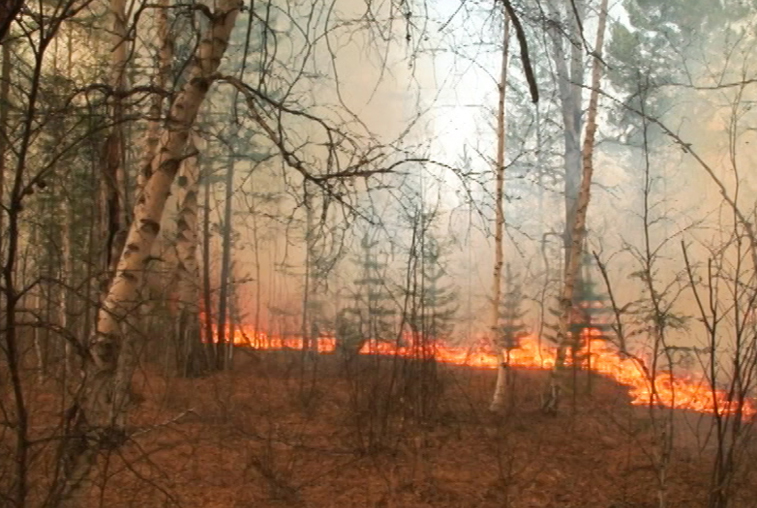 1500 гектаров за 7 дней: пожарные ликвидировали очаг в 60 км от села Янсай Мазановского района - gtrkamur.ru