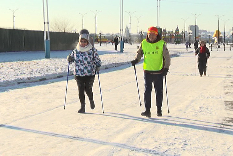 Амурские власти поддержат развитие скандинавской ходьбы и уличной гимнастики - gtrkamur.ru