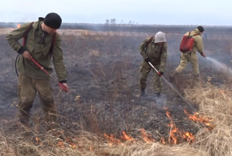 В Приамурье сократилось число природных пожаров - gtrkamur.ru