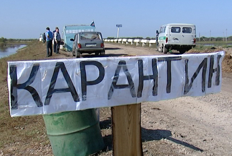 На территории Приамурья сняли карантин по бешенству - gtrkamur.ru