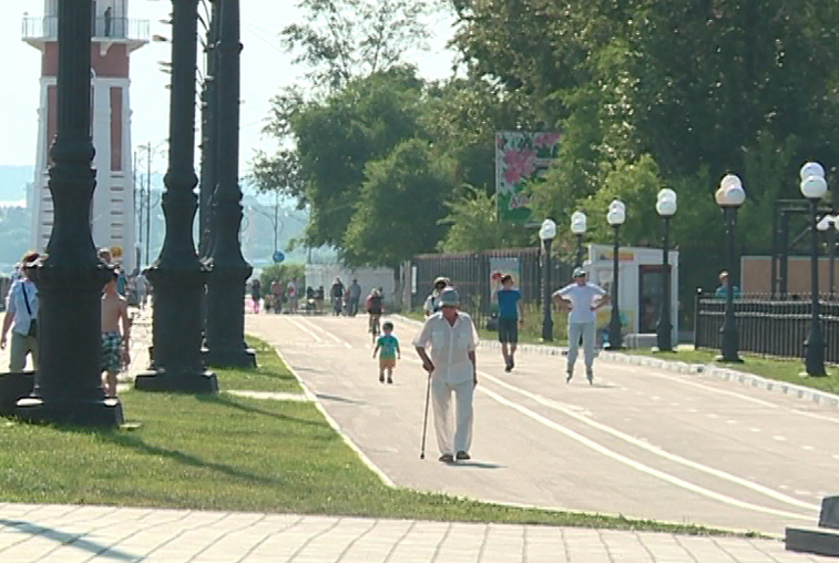 От городского парка до ДВОКУ нельзя будет кататься на лошадях - gtrkamur.ru