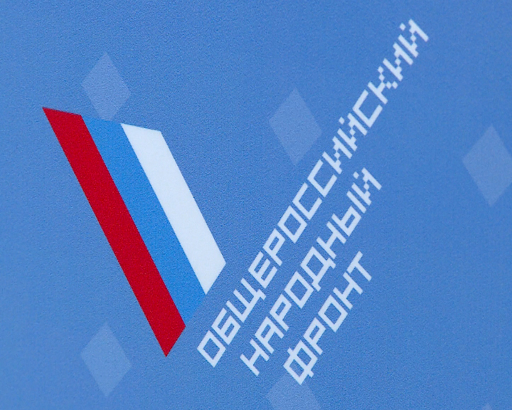 Активисты ОНФ взяли на контроль проблемы, поднятые на пресс-конференции Владимира Путина - gtrkamur.ru