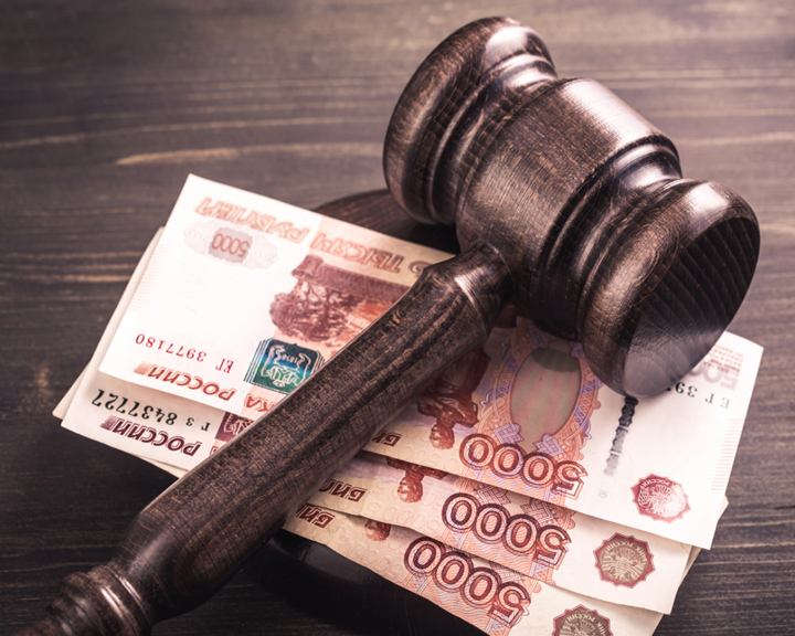 За минувший год амурские браконьеры выплатили почти 6 млн рублей штрафов и компенсаций - gtrkamur.ru