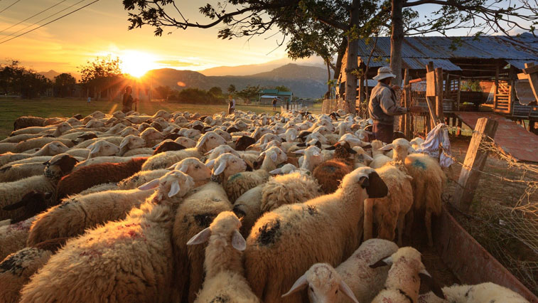 Амурских сельхозпроизводителей приглашают к участию в конкурсе на получение грантов - gtrkamur.ru