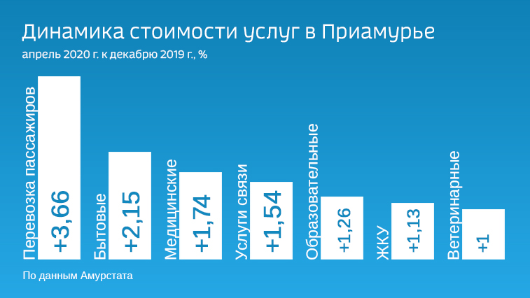 Больше других подняли цены перевозчики пассажиров. Как в Приамурье изменилась стоимость услуг - gtrkamur.ru