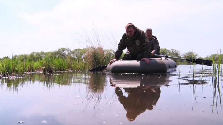 Амурские охотоведы очистили водоемы от сетей и мусора - gtrkamur.ru