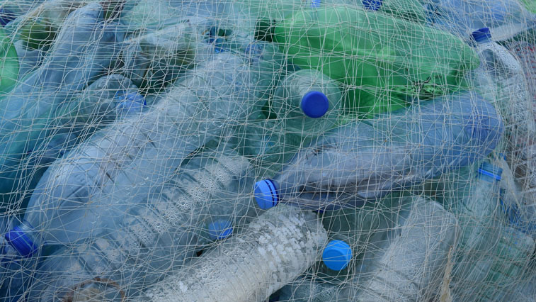 Жители областной столицы смогут сдать мусор из пластика и макулатуру на переработку - gtrkamur.ru