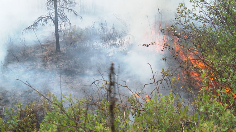 Больше 110 огнеборцев тушат пожары в Сковородинском районе - gtrkamur.ru