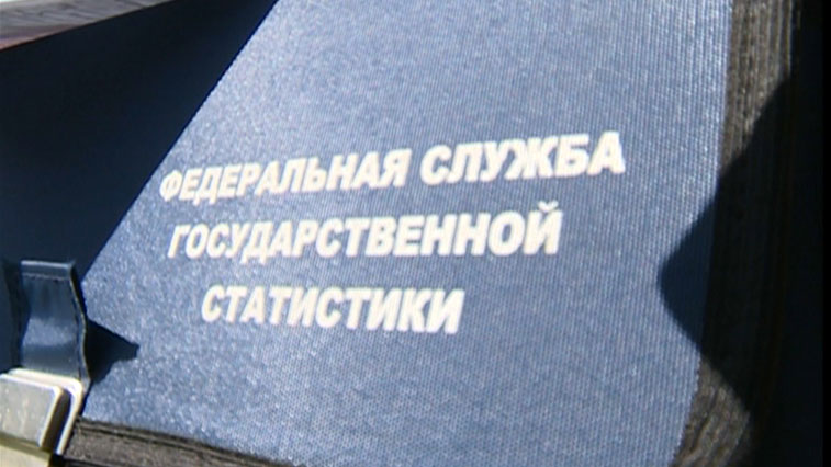Благовещенцам предлагают трудоустроиться на время переписи населения - gtrkamur.ru