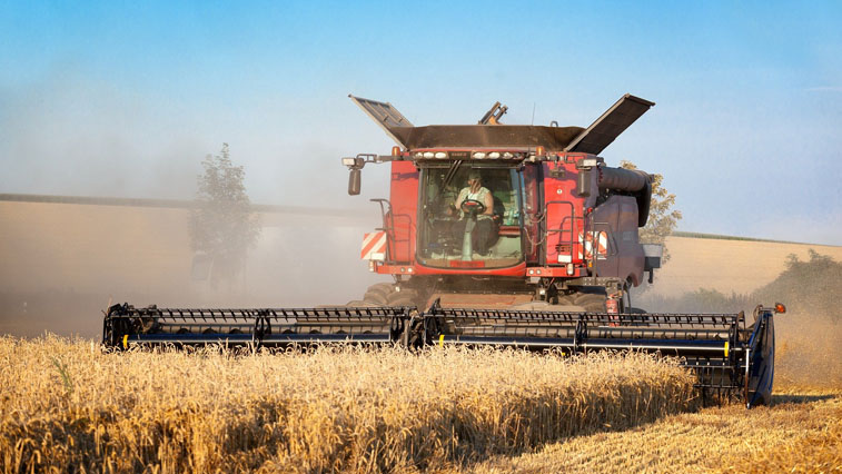 В конце июля амурские аграрии начнут собирать ранние зерновые - gtrkamur.ru