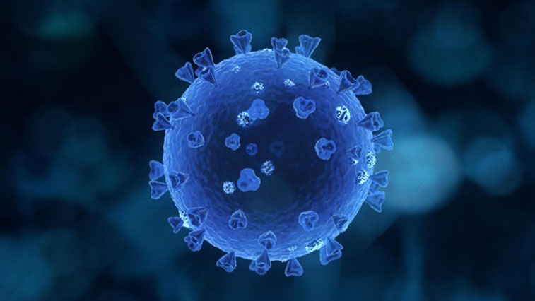 +43 за сутки: 1000 инфицированных COVID-19 находятся в Благовещенске - gtrkamur.ru