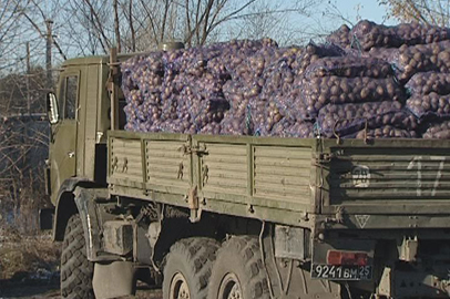 Реализация льготных овощей - gtrkamur.ru