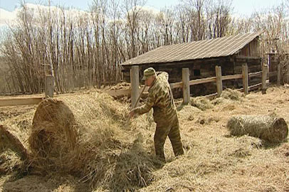 Реализация программы по начинающим фермерам - gtrkamur.ru