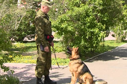 День пограничника, акция «Читай-страна» и марафон здоровья — план на выходные - gtrkamur.ru