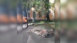 В Свободном произошло ДТП со смертельным исходом с участием велосипедиста - gtrkamur.ru