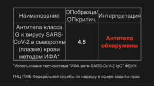 Амурчанам рассылают итоги тестов на антитела к COVID-19 - gtrkamur.ru