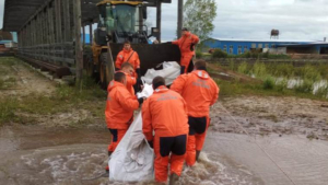 Более 700 приусадебных участков в 28 населенных пунктах затоплено в Амурской области - gtrkamur.ru
