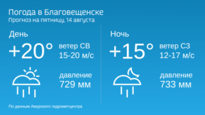 Ветер и ливни с грозами: Прогноз погоды в Приамурье на 14 августа - gtrkamur.ru