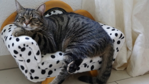 10 дней каникул и нерабочее 31 декабря: Минтруд предложил график выходных на следующий год - gtrkamur.ru