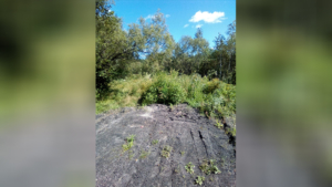 Житель Райчихинска пожаловался на разбитую дорогу к старому кладбищу - gtrkamur.ru