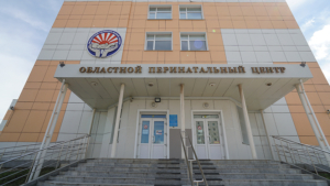 Областной перинатальный центр стал одним из лучших в стране - gtrkamur.ru