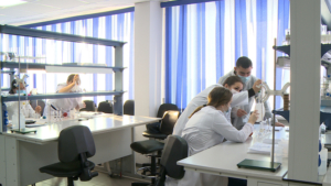 Амурчане, потерявшие работу во время пандемии, могут освоить новую профессию - gtrkamur.ru