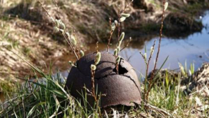 Амурских поисковиков наградили медалями от министра обороны России - gtrkamur.ru