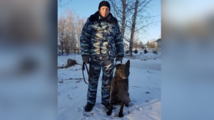 Служебная собака по кличке Ласка помогла раскрыть кражу в Благовещенске - gtrkamur.ru