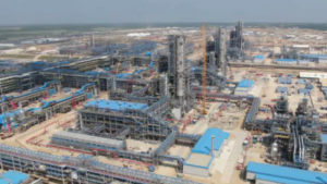 8 новых резидентов ТОР появилось в Приамурье в 2020 году - gtrkamur.ru