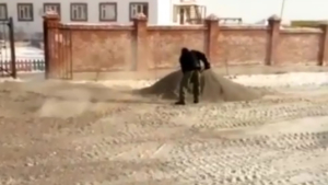 Разлив нечистот ликвидируют возле детского сада в Чигирях - gtrkamur.ru