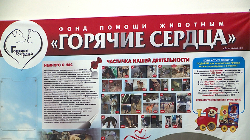 Люди и звери. Репортаж Светланы Дюжовой - gtrkamur.ru