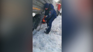 В Зейском районе фура съехала с трассы и застряла в наледи - gtrkamur.ru