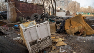 Соблюдение чистоты и несанкционированные свалки в Благовещенске проверили городские власти и прокуратура - gtrkamur.ru